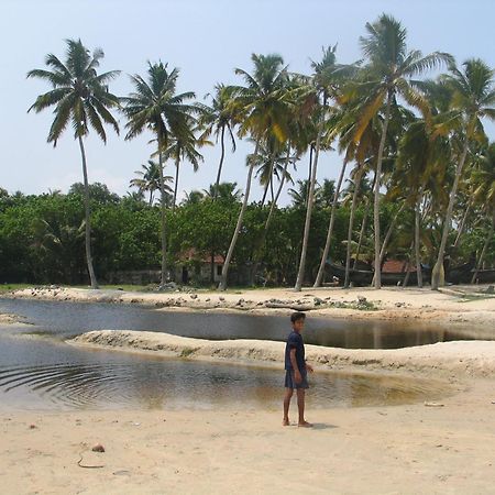 The Frangipani Marari Beach Villa Mararikulam Exterior photo