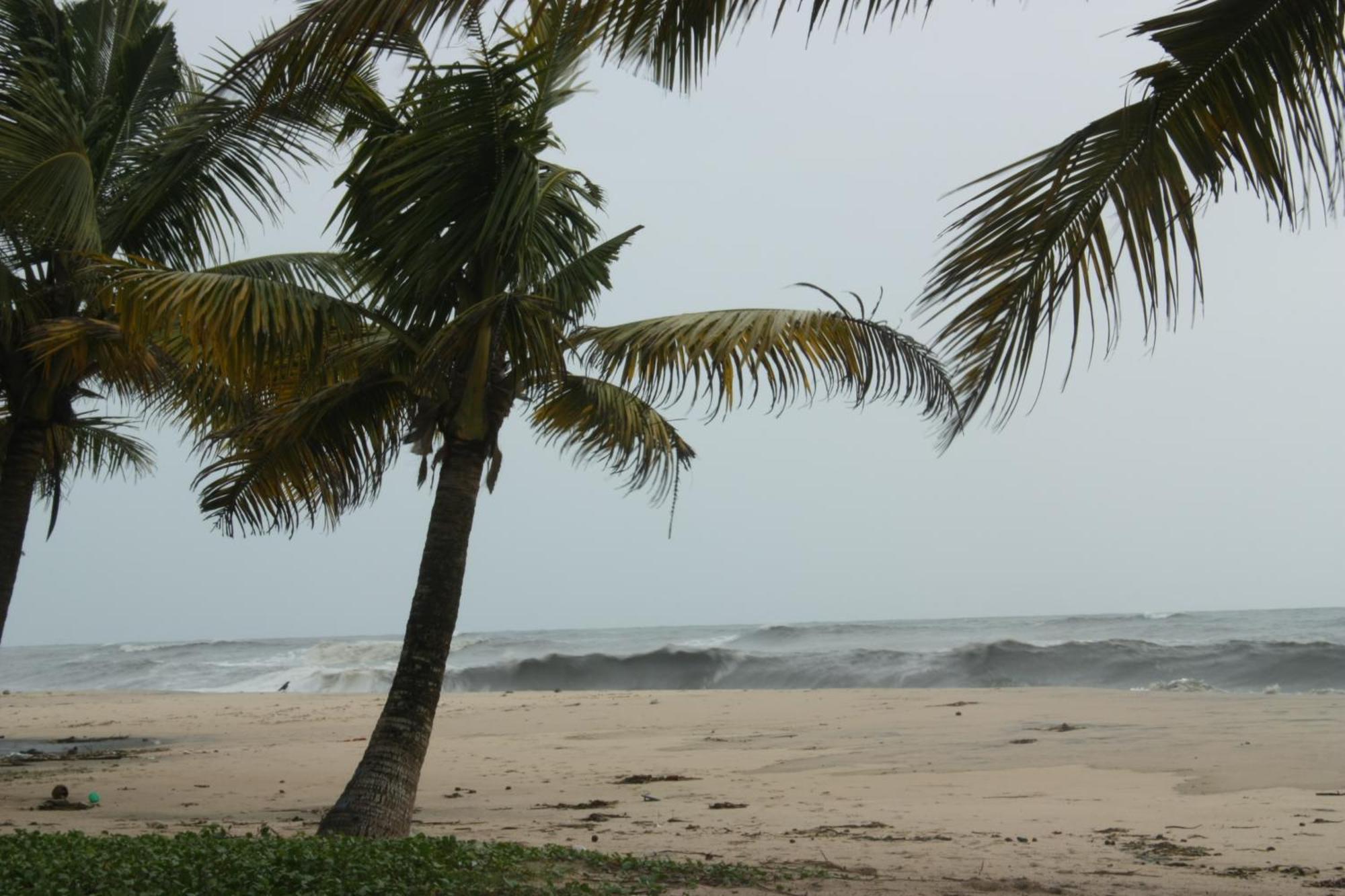 The Frangipani Marari Beach Villa Mararikulam Exterior photo