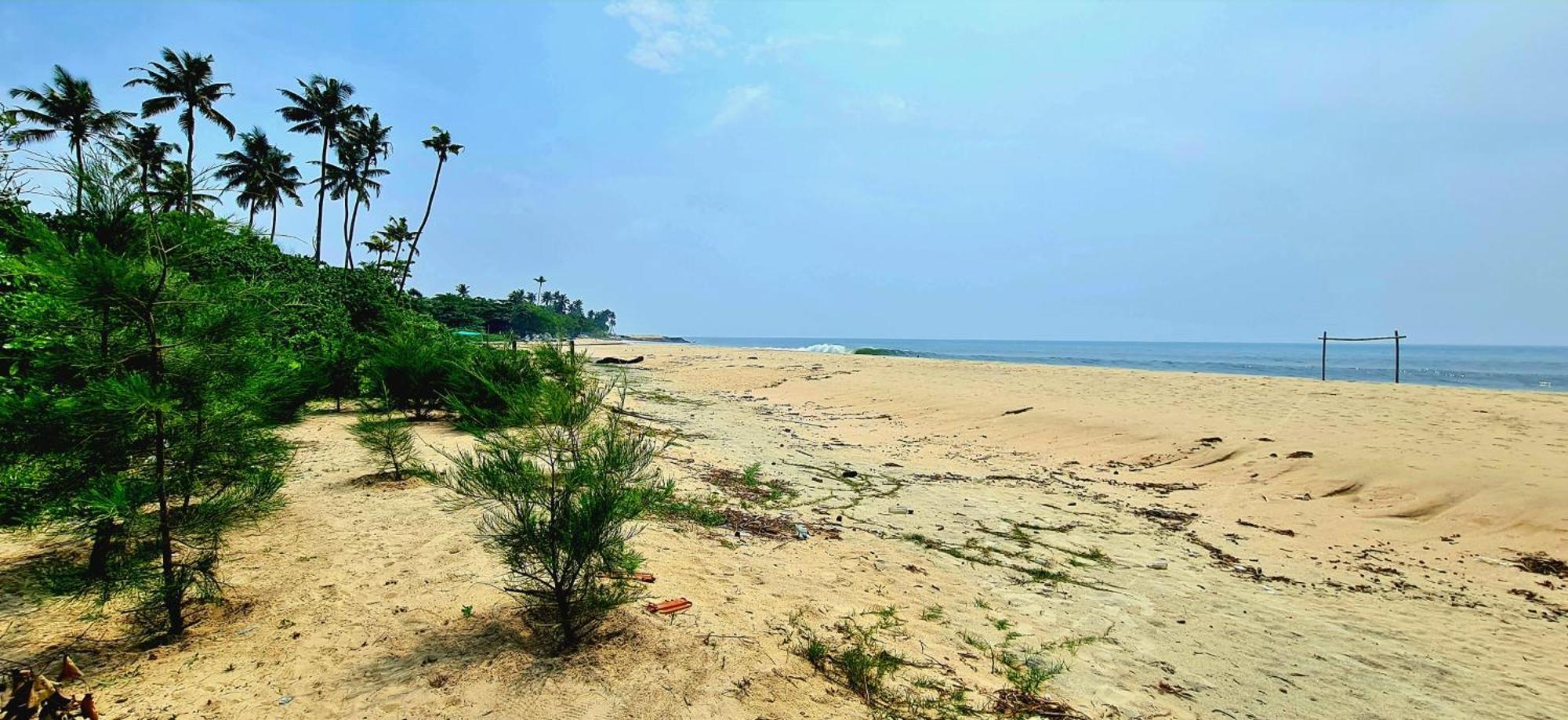 The Frangipani Marari Beach Villa Mararikulam Exterior photo