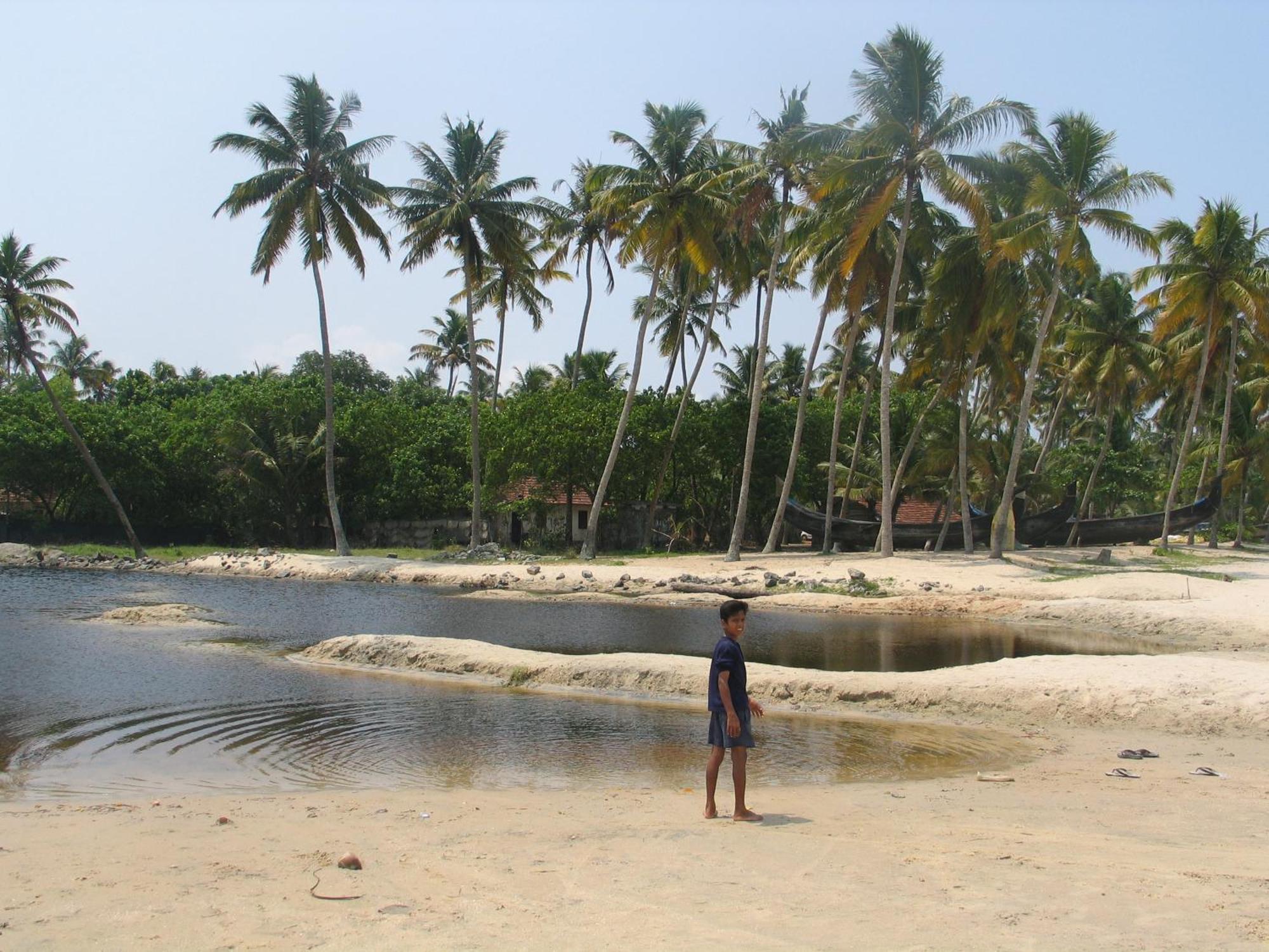 The Frangipani Marari Beach Villa Mararikulam Exterior photo